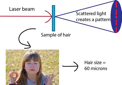 how to measure the thickness of hair|hair thickness test.